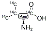 921-10-8  L-valine-ul-14C mol. wt. 117.2