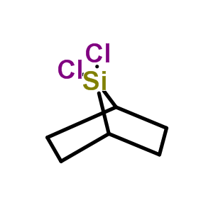 69238-91-1  7,7-dichloro-7-silabicyclo[2.2.1]heptane
