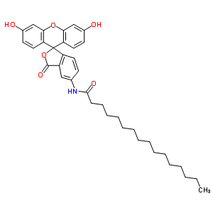 73024-80-3  N-(3',6'-dihydroxy-3-oxo-3H-spiro[2-benzofuran-1,9'-xanthen]-5-yl)hexadecanamide