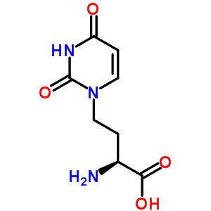 69557-82-0  (2S)-2-amino-4-(2,4-dioxo-3,4-dihydropyrimidin-1(2H)-yl)butanoic acid