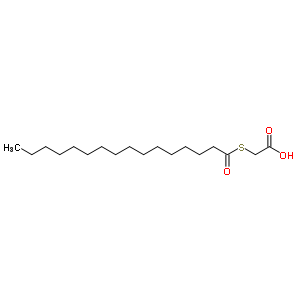 80863-31-6  (hexadecanoylsulfanyl)acetic acid