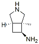 162205-86-9  3-Azabicyclo[3.2.0]heptan-6-amine,5-methyl-,(1alpha,5alpha,6beta)-(9CI)