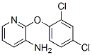 175136-22-8  3-AMINO-2-(2,4-DICHLOROPHENOXY)PYRIDINE