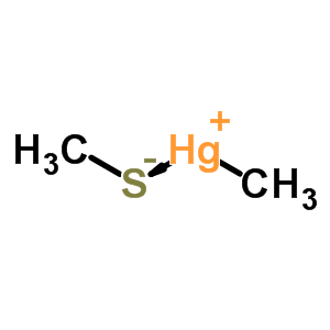 25310-48-9  methylmercury(1+) methanethiolate