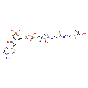 319440-43-2  S-{1-[5-(6-amino-9H-purin-9-yl)-4-hydroxy-3-(phosphonooxy)tetrahydrofuran-2-yl]-3,5,9-trihydroxy-8,8-dimethyl-3,5-dioxido-10,14-dioxo-2,4,6-trioxa-11,15-diaza-3lambda~5~,5lambda~5~-diphosphaheptadecan-17-yl} 3-hydroxy-2-methylpropanethioate (non-preferred