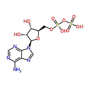 485-84-7  5'-O-[(S)-hydroxy(sulfooxy)phosphoryl]adenosine