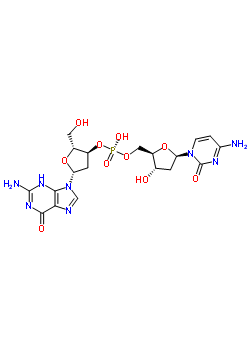 23405-83-6;81305-46-6  (2R,3S,5R)-5-(2-amino-6-oxo-3,6-dihydro-9H-purin-9-yl)-2-(hydroxymethyl)tetrahydrofuran-3-yl [(2R,3S,5R)-5-(4-amino-2-oxopyrimidin-1(2H)-yl)-3-hydroxytetrahydrofuran-2-yl]methyl hydrogen (S)-phosphate (non-preferred name)