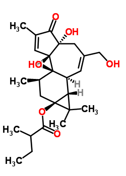 28152-97-8  (1aR,1bS,4aR,7aS,7bR,8R,9aS)-4a,7b-dihydroxy-3-(hydroxymethyl)-1,1,6,8-tetramethyl-5-oxo-1,1a,1b,4,4a,5,7a,7b,8,9-decahydro-9aH-cyclopropa[3,4]benzo[1,2-e]azulen-9a-yl 2-methylbutanoate