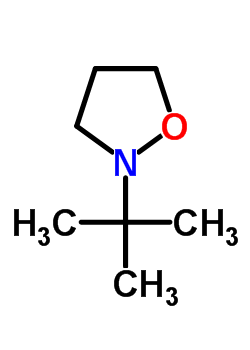 67137-81-9  2-tert-butyl-1,2-oxazolidine