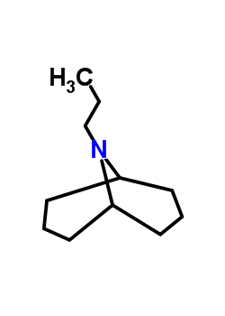 73320-99-7  9-propyl-9-azabicyclo[3.3.1]nonane