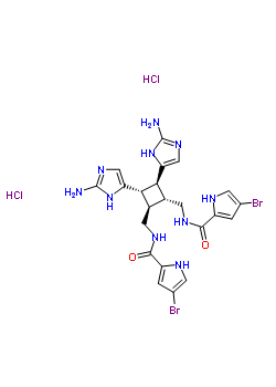 79703-25-6  N,N'-{[(1R,2R,3S,4S)-3,4-bis(2-amino-1H-imidazol-5-yl)cyclobutane-1,2-diyl]dimethanediyl}bis(4-bromo-1H-pyrrole-2-carboxamide) dihydrochloride