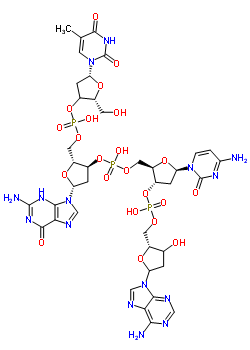 80692-82-6  [(2R,3S,5R)-5-(2-amino-6-oxo-3H-purin-9-yl)-2-[[hydroxy-[(2R,5R)-2-(hydroxymethyl)-5-(5-methyl-2,4-dioxo-pyrimidin-1-yl)tetrahydrofuran-3-yl]oxy-phosphoryl]oxymethyl]tetrahydrofuran-3-yl] [(2R,3S,5R)-5-(4-amino-2-oxo-pyrimidin-1-yl)-3-[[(2R)-5-(6-aminopur