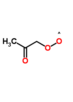 88181-69-5  (2-oxopropyl)dioxidanyl