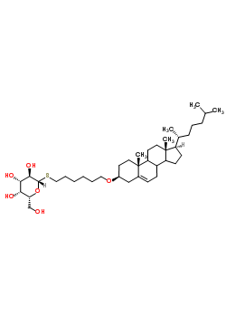 68354-92-7  6-[(3beta,8xi,9xi,14xi)-cholest-5-en-3-yloxy]hexyl 1-thio-beta-D-galactopyranoside