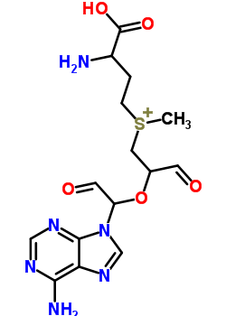 68385-00-2  (3-amino-3-carboxypropyl){2-[1-(6-amino-9H-purin-9-yl)-2-oxoethoxy]-3-oxopropyl}methylsulfonium