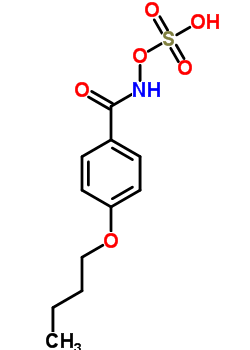 76790-22-2  4-butoxy-N-(sulfooxy)benzamide