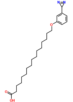 78112-02-4  16-[3-(3H-diaziren-3-yl)phenoxy]hexadecanoic acid