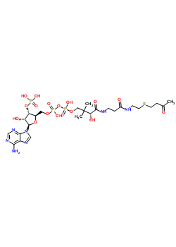 81790-81-0  [(2R,3S,4R,5R)-5-(6-amino-9H-purin-9-yl)-4-hydroxy-3-(phosphonooxy)tetrahydrofuran-2-yl]methyl (3R)-3-hydroxy-2,2-dimethyl-4-oxo-4-{[3-oxo-3-({2-[(3-oxobutyl)sulfanyl]ethyl}amino)propyl]amino}butyl dihydrogen diphosphate (non-preferred name)