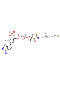 81918-99-2  [(2R,3S,4R,5R)-5-(6-amino-9H-purin-9-yl)-4-hydroxy-3-(phosphonooxy)tetrahydrofuran-2-yl]methyl (3R)-4-({3-[(2-disulfanylethyl)amino]-3-oxopropyl}amino)-3-hydroxy-2,2-dimethyl-4-oxobutyl dihydrogen diphosphate (non-preferred name)