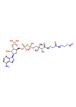 82494-50-6  [(2R,3S,4R,5R)-5-(6-amino-9H-purin-9-yl)-4-hydroxy-3-(phosphonooxy)tetrahydrofuran-2-yl]methyl (3R)-3-hydroxy-2,2-dimethyl-4-[(3-{[2-(nitrososulfanyl)ethyl]amino}-3-oxopropyl)amino]-4-oxobutyl dihydrogen diphosphate (non-preferred name)