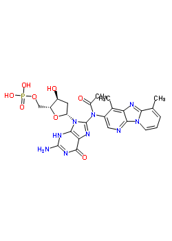 94617-28-4  8-[acetyl(4,6-dimethylimidazo[1,2-a:5,4-b']dipyridin-3-yl)amino]-2'-deoxyguanosine 5'-(dihydrogen phosphate)