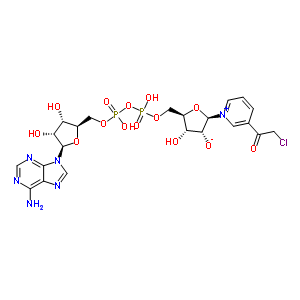 39938-03-9  (2R,3R,4R,5R)-5-({[{[{[(2R,3S,4R,5R)-5-(6-amino-9H-purin-9-yl)-3,4-dihydroxytetrahydrofuran-2-yl]methoxy}(hydroxy)phosphoryl]oxy}(hydroxy)phosphoryl]oxy}methyl)-2-[3-(chloroacetyl)pyridinium-1-yl]-4-hydroxytetrahydrofuran-3-olate (non-preferred name)