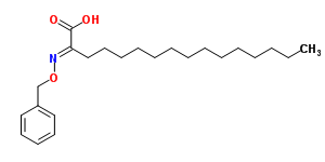 5435-49-4  (2E)-2-[(benzyloxy)imino]hexadecanoic acid