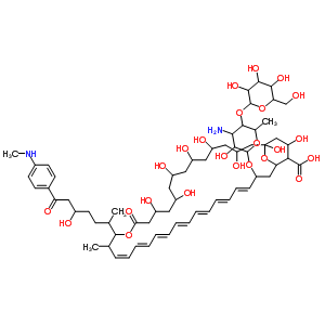 57515-50-1  (19Z,21E,23E,25E,27E,29E,31E)-33-[(3-amino-3,6-dideoxy-4-O-hexopyranosylhexopyranosyl)oxy]-1,3,5,7,9,11,13,37-octahydroxy-17-{4-hydroxy-1-methyl-6-[4-(methylamino)phenyl]-6-oxohexyl}-18-methyl-15-oxo-16,39-dioxabicyclo[33.3.1]nonatriaconta-19,21,23,25,27,