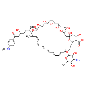 57515-52-3  33-[(3-amino-3,6-dideoxyhexopyranosyl)oxy]-1,3,5,7,9,11,13,37-octahydroxy-17-{4-hydroxy-1-methyl-6-[4-(methylamino)phenyl]-6-oxohexyl}-18-methyl-15-oxo-16,39-dioxabicyclo[33.3.1]nonatriaconta-19,21,23,25,27,29,31-heptaene-36-carboxylic acid