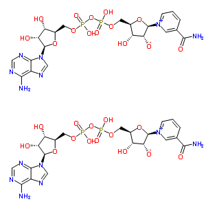 66844-06-2  (2R,3R,4S,5R)-5-[[[[(2R,3S,4R,5R)-5-(6-aminopurin-9-yl)-3,4-dihydroxy-tetrahydrofuran-2-yl]methoxy-hydroxy-phosphoryl]oxy-hydroxy-phosphoryl]oxymethyl]-2-(3-carbamoylpyridin-1-ium-1-yl)-4-hydroxy-tetrahydrofuran-3-olate