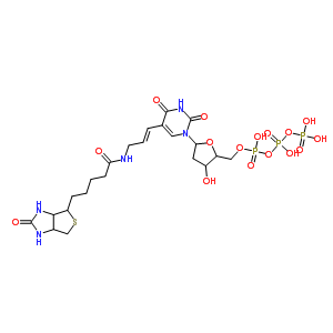 81522-11-4;92999-28-5  1-[2-deoxy-5-O-(hydroxy{[hydroxy(phosphonooxy)phosphoryl]oxy}phosphoryl)pentofuranosyl]-5-[(1E)-3-{[5-(2-oxohexahydro-1H-thieno[3,4-d]imidazol-4-yl)pentanoyl]amino}prop-1-en-1-yl]pyrimidine-2,4(1H,3H)-dione