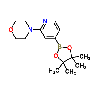 888721-86-6  4-[4-(4,4,5,5-tetramethyl-1,3,2-dioxaborolan-2-yl)pyridin-2-yl]morpholine