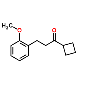 898774-28-2  1-cyclobutyl-3-(2-methoxyphenyl)propan-1-one