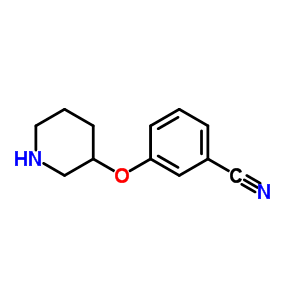 3-(Piperidin-3-yloxy)benzonitrile
