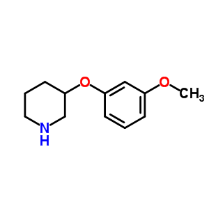3-(3-Methoxyphenoxy)piperidine
