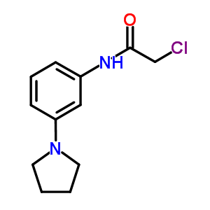 915921-99-2  2-chloro-N-(3-pyrrolidin-1-ylphenyl)acetamide
