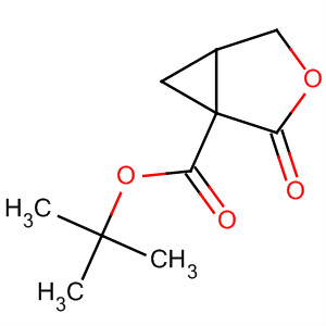 131304-85-3  3-Oxabicyclo[3.1.0]hexane-1-carboxylic acid, 2-oxo-, 1,1-dimethylethylester