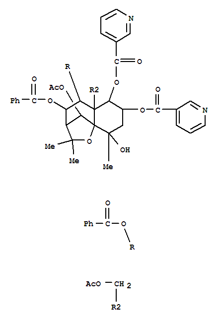 152340-58-4  3-Pyridinecarboxylicacid,(3R,4R,5R,5aS,6R,7S,9S,9aS,10R)-10-(acetyloxy)-5a-[(acetyloxy)methyl]-4,5-bis(benzoyloxy)octahydro-9-hydroxy-2,2,9-trimethyl-2H-3,9a-methano-1-benzoxepin-6,7-diylester (9CI)