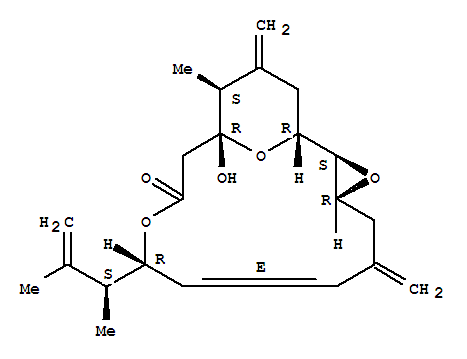 167568-92-5  3,10,17-Trioxatricyclo[11.3.1.02,4]heptadec-7-en-11-one,9-[(1S)-1,2-dimethyl-2-propenyl]-13-hydroxy-14-methyl-6,15-bis(methylene)-,(1R,2S,4R,7E,9R,13R,14S)- (9CI)