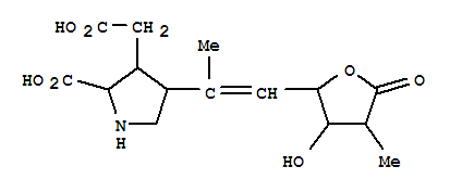 101977-27-9  3-Pyrrolidineaceticacid,2-carboxy-4-[(1Z)-1-methyl-2-[(2S,3S,4R)-tetrahydro-3-hydroxy-4-methyl-5-oxo-2-furanyl]ethenyl]-,(2S,3S,4S)- (9CI)