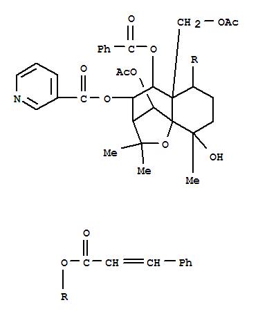 112494-33-4  3-Pyridinecarboxylicacid,(3R,4R,5S,5aS,6S,9S,9aS,10R)-10-(acetyloxy)-5a-[(acetyloxy)methyl]-5-(benzoyloxy)octahydro-9-hydroxy-2,2,9-trimethyl-6-[[(2E)-1-oxo-3-phenyl-2-propen-1-yl]oxy]-2H-3,9a-methano-1-benzoxepin-4-ylester