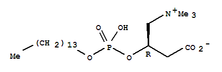 157244-53-6  1-Propanaminium,3-carboxy-2-[[hydroxy(tetradecyloxy)phosphinyl]oxy]-N,N,N-trimethyl-, innersalt, (2R)-