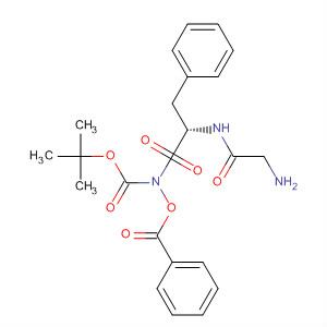 257619-93-5  L-Phenylalaninamide,N-[(1,1-dimethylethoxy)carbonyl]glycyl-N-(benzoyloxy)-