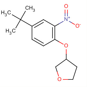 228401-10-3  Furan, 3-[4-(1,1-dimethylethyl)-2-nitrophenoxy]tetrahydro-