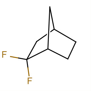 22847-05-8  Bicyclo[2.2.1]heptane, 2,2-difluoro-