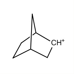 24321-81-1  Bicyclo[2.2.1]hept-2-ylium