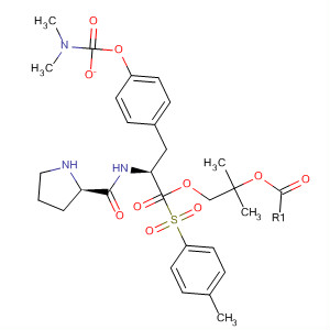 220543-98-6  L-Tyrosine, 1-[(4-methylphenyl)sulfonyl]-L-prolyl-, 1,1-dimethylethyl ester,dimethylcarbamate (ester)