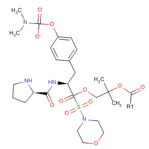 220545-22-2  L-Tyrosine, 1-(4-morpholinylsulfonyl)-L-prolyl-, 1,1-dimethylethyl ester,dimethylcarbamate (ester)