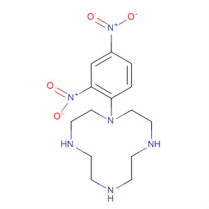204922-29-2  1,4,7,10-Tetraazacyclododecane, 1-(2,4-dinitrophenyl)-