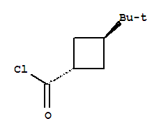 24165-53-5  Cyclobutanecarbonylchloride, 3-tert-butyl-, trans- (8CI)